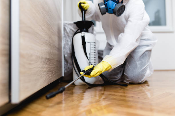 Best Pest Prevention Services  in Dunean, SC