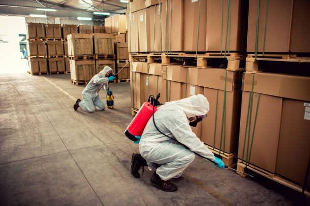 Best Cockroach Control Services  in Dunean, SC