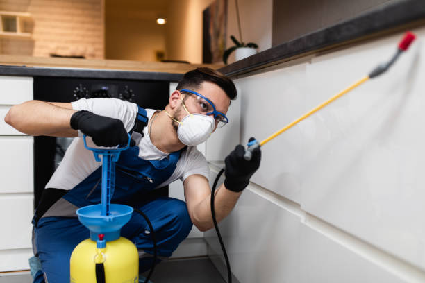 Best Cockroach Control Services  in Dunean, SC