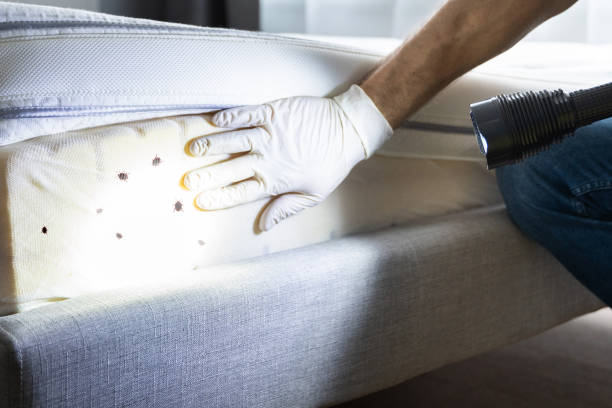 Pest Control for Restaurants in Dunean, SC