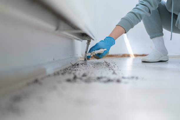 Pest Control for Restaurants in Dunean, SC